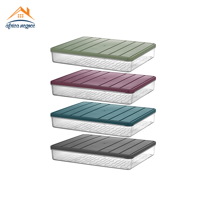 STORAGE BOX RECTANGLE 2.5L 800002